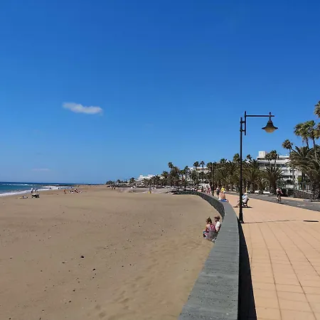 Salmarina 2*